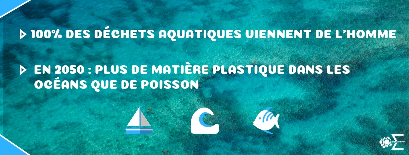 pollution aquatique